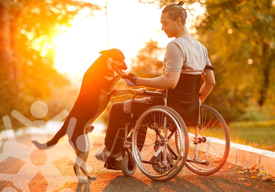 ndis disability care
